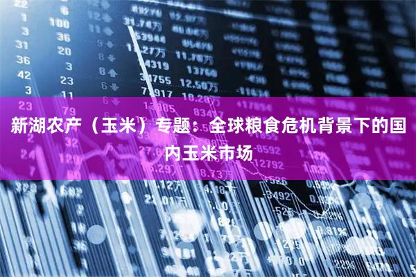 新湖农产（玉米）专题：全球粮食危机背景下的国内玉米市场