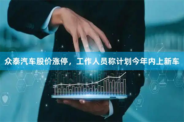 众泰汽车股价涨停，工作人员称计划今年内上新车